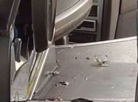 Criança de 9 anos atingida por peça de caminhão em ônibus na BR-163 morre na Santa Casa