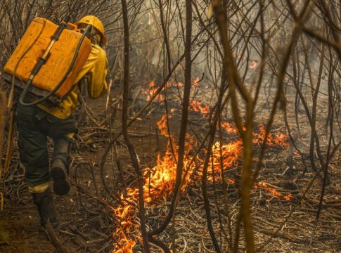 Com mais de 5% já queimado, Pantanal de MS sofre com retorno dos incêndios