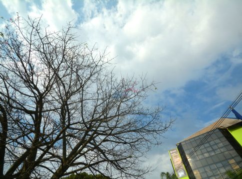 Semana começa com calor de 40ºC, mas vai terminar com frio de 10ºC