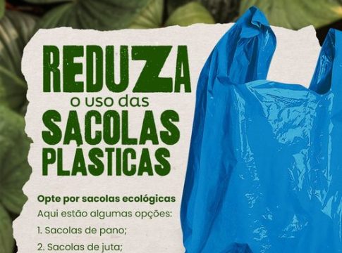 Evite sacolas plásticas: prefira sacolas retornáveis