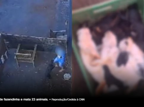 Menino de 9 anos que matou 23 animais foi à inauguração de fazendinha na véspera do massacre