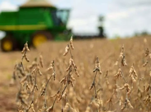 LISTA: Mato Grosso do Sul tem 14 cidades entre as mais ricas do agronegócio no país