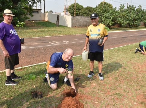 Melhor Idade de Iguatemi participa de plantio de mudas de árvores em comemoração ao Dia Internacional do Idoso
