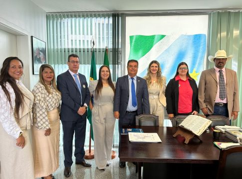 Fabiana e vereadores cumpriram agendas em Brasília