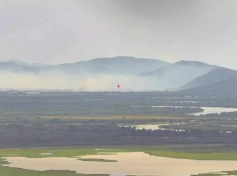 Mato Grosso do Sul termina novembro com 894 focos de incêndio, mostra Inpe