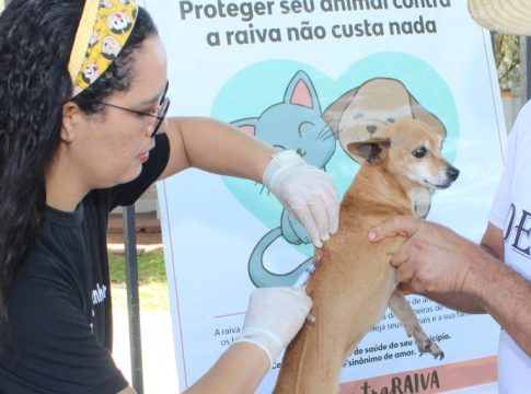 Prefeitura de Naviraí realiza Campanha Antirrábica nos dias 09 e 23 de novembro