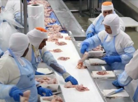 No Cone Sul, Eldorado liderou geração de empregos em setembro