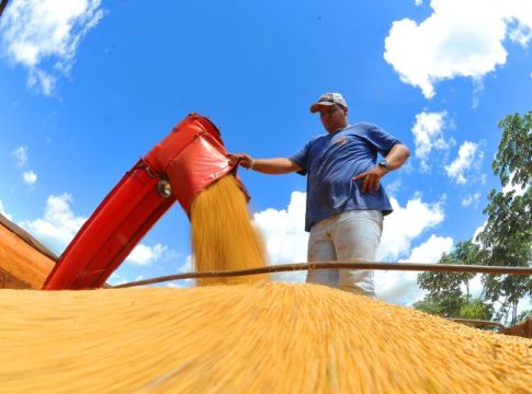 Produtores rurais devem declarar área plantada de soja até o dia 10 de janeiro no site da Iagro