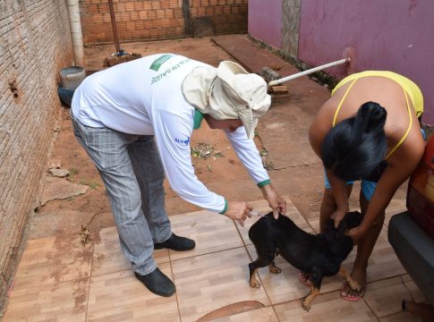 Iguatemi – Vigilância Sanitária realiza mutirão de vacinação antirrábica, em todos os bairros da cidade
