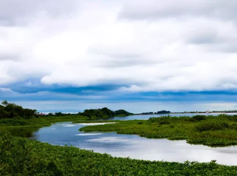 Rio Paraguai alcança melhor nível para dezembro em cinco anos