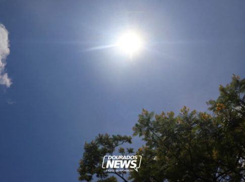 Ano de 2024 é o mais quente no Brasil desde 1961 e MS atingiu 43.1°C