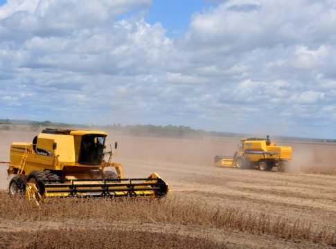 1º no ranking: crescimento econômico de Mato Grosso do Sul ganha destaque nacional
