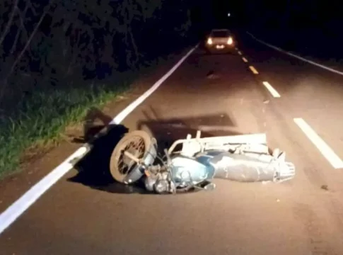 Motociclista morre após atropelar capivara na MS-147