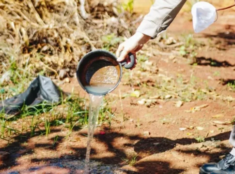 Com mais de 800 casos de dengue, MS pode ter primeiro registro do tipo 4 em 2025