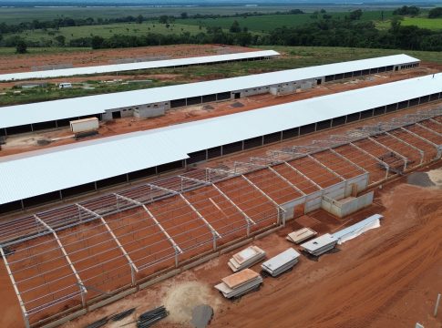 Construção dos aviários da Colônia Nova já tem data de entrega em Mundo Novo
