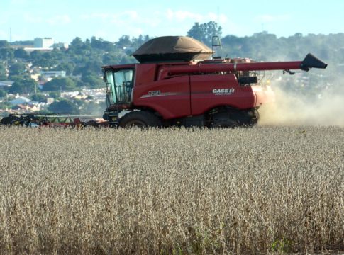Estimativa aponta safra de 325,8 milhões de toneladas em 2025; MS é 5º maior produtor