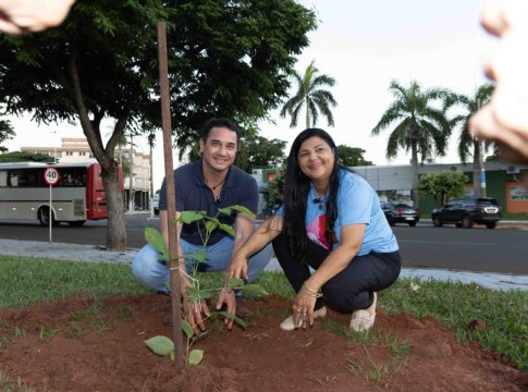Autoridades plantam ipês-rosas na Praça Euclides Fabris, árvore símbolo do município de Naviraí