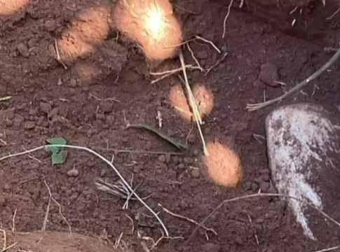 Corpo de engenheiro agrônomo é encontrado em cova rasa na fronteira