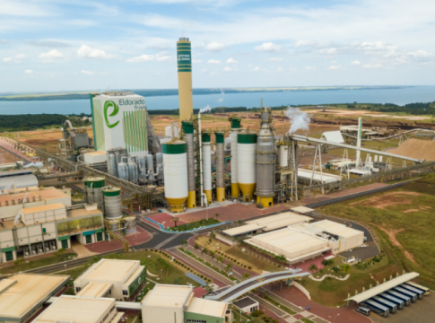 Celulose e carne bovina fazem a diferença e exportações de MS sobem 8,6%