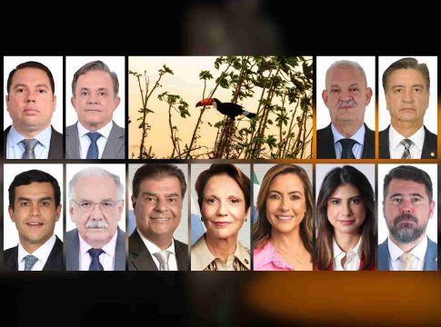 Ação conjunta da bancada de MS pode avançar PEC do Pantanal em comissões da Câmara