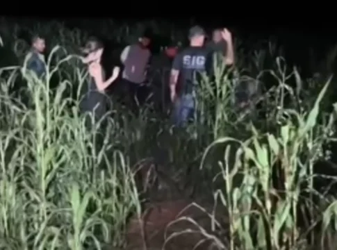 Corpo de idoso vítima de latrocínio é encontrado em região de canavial