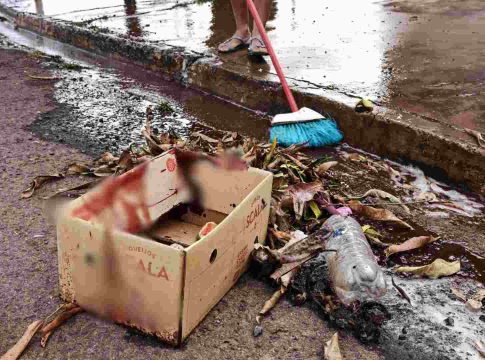 Morador em situação de rua morre após ser espancado com golpes de pá e faca