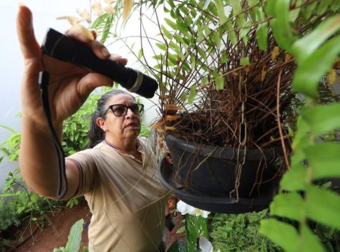 Secretaria de Saúde confirma sétima morte por dengue em MS