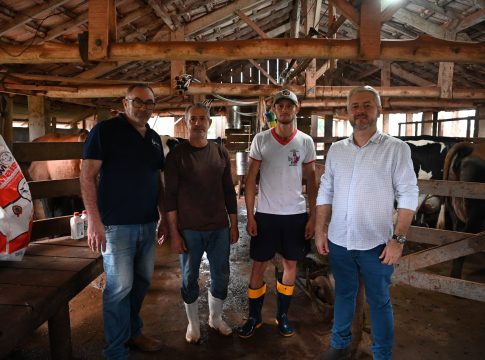 Itaquiraí é referência na pecuária leiteira e investe em melhoramento genético para fortalecer agricultura familiar