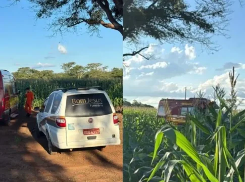 Idoso é encontrado morto em plantação de milho no interior de MS