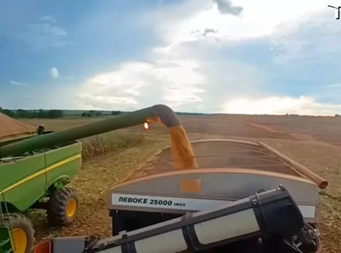 AgroDakila colhe segunda safra e projeta crescimento como modelo de Agricultura Limpa