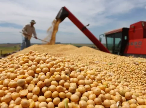Entidades de MS veem com cautela compra recorde de soja brasileira pela China