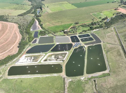Secretário de Desenvolvimento Econômico de Iguatemi visita Omega Fish, Frigorífico de Peixes de Mundo Novo