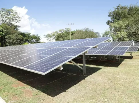 Nova cara do trabalhador de MS: empregos mudam com agro digital e energia limpa