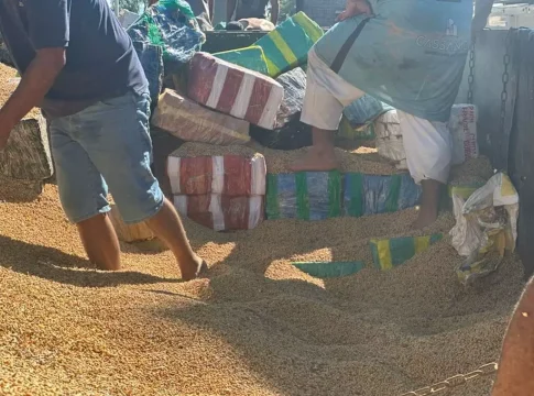 Caminhoneiro que saiu de MS é preso com 6,8 toneladas de maconha no litoral