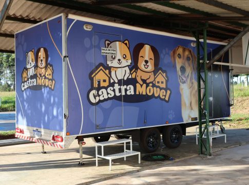 VISA de Naviraí mantém atendimentos de denúncias de maus tratos a cães e gatos e castrações