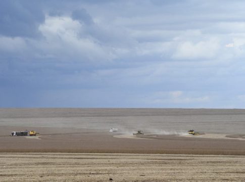 Motor de MS: agronegócio deve puxar PIB do Estado, com previsão de crescer 5,5% neste ano