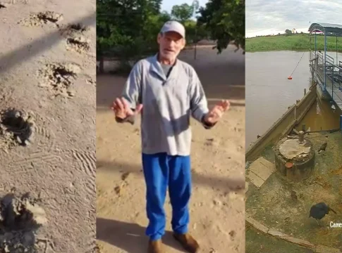 Morte de Jorginho, atacado por onça, tem conclusão e ‘superdemanda’ de especialistas no Pantanal