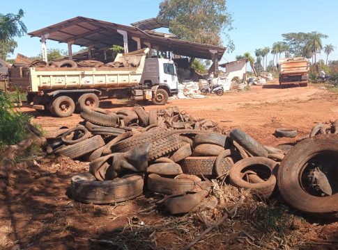Agentes de Controle de Endemias realizam a coleta de pneus em usina de reciclagem