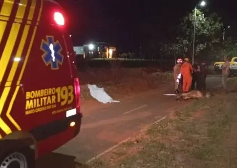Motociclista colide com bezerro e morre na MS-473, em Taquarussu