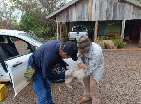 Vacinação Antirrábica continua nesta semana na área rural de Mundo Novo