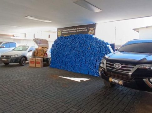Defron apreende cerca de 2,3 toneladas de maconha em assentamento