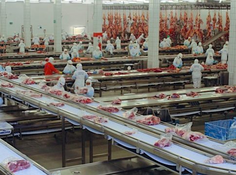 Presidente da Acrissul, Bumlai, afirma que Japão vai comprar a carne de Mato Grosso do Sul