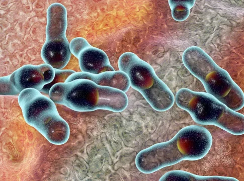 Botulismo: conheça a doença que matou duas pessoas após consumo de alimentos infectados