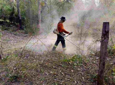 Brigadas são ‘primeira força de combate’ a incêndios em Mato Grosso do Sul