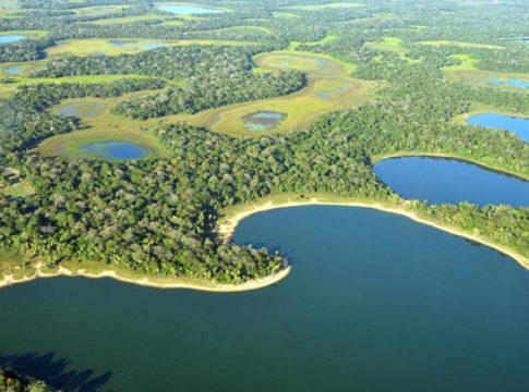 Pantanal ganha 2ª lei que prevê conservação e pagamento a quem preservá-lo