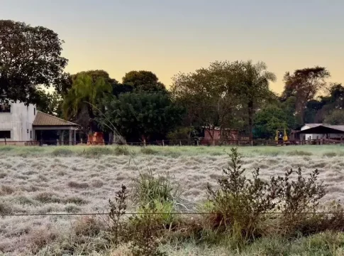 Em MS, temperaturas foram ao extremo, variando de -0,7ºC a 39ºC em agosto