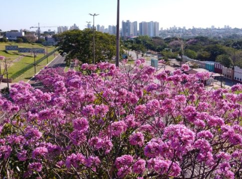 Mato Grosso do Sul lança planos estratégicos de turismo para Campo Grande dos Ipês e Vale das Águas