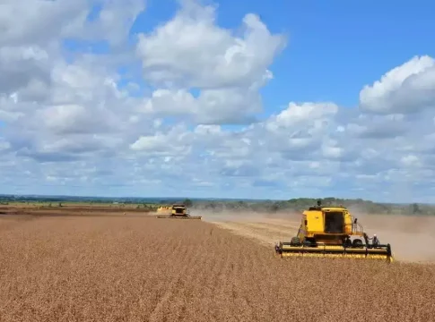 Estado eleva limite de financiamento rural para R$ 300 milhões em MS
