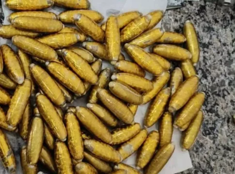 Boliviana morre após ingerir quase 80 cápsulas de cocaína na MS-040