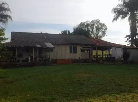 Sem energia há uma semana, produtor rural perde 900 litros de leite